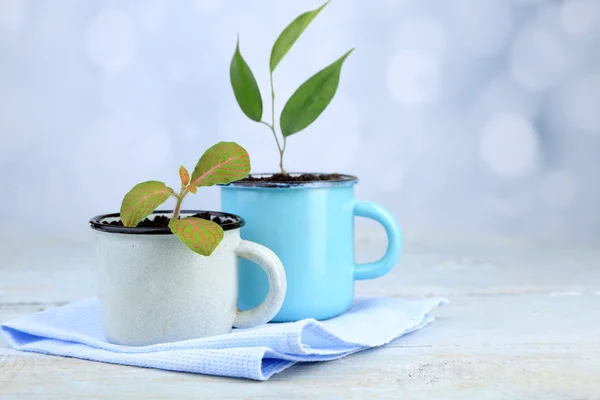 マグカップの明るい背景色木製テーブルの上に若い植物 — ストック写真