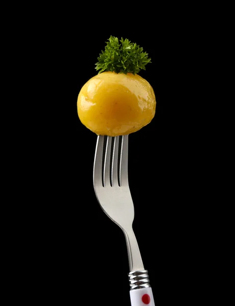 Young boiled potato on fork on black background — Stock Photo, Image