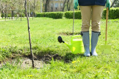 Bahçıvan dikim ağaç bahar