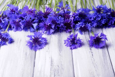 ahşap zemin üzerinde güzel Peygamber