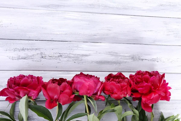 Belle peonie rosa su sfondo di legno a colori — Foto Stock