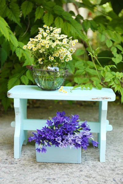 Tuin decoratie met wilde bloemen, buitenshuis — Stockfoto