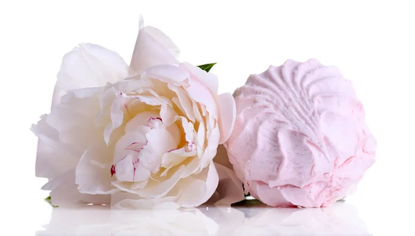 Bellissimo fiore di peonia e dolce di marshmallow, isolato su bianco — Foto Stock