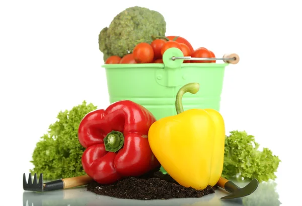 Gemüse mit Boden isoliert auf weiß — Stockfoto