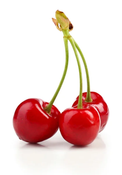 Sweet cherries, isolated on white — Stock Photo, Image