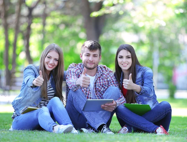 Estudiantes felices sentados en el parque —  Fotos de Stock