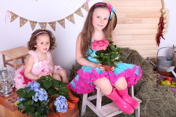 Όμορφα Μικρά Κορίτσια Μικροπρεπείς Φούστες Κρατώντας Λουλούδια Χώρα Στυλ Φόντο — Φωτογραφία Αρχείου