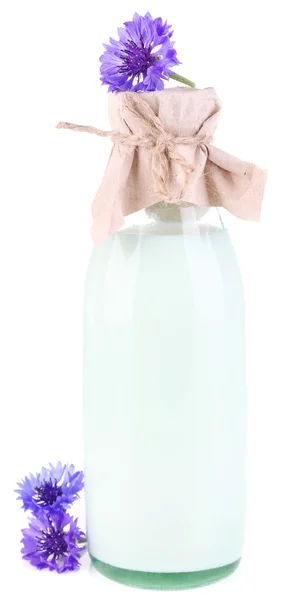 Bottle with milk and cornflowers, isolated on white — Stock Photo, Image