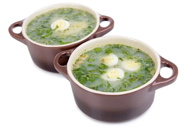 Вкусный зеленый суп с щавелем, изолированный на белом — стоковое фото