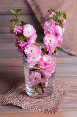 cam tabloda gri arka plan üzerinde güzel meyve çiçeği