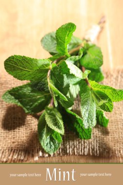 ahşap zemin üzerine nane