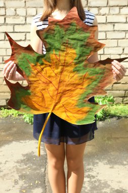 Dekoratif akçaağaç yaprağı duvar arka planda tutan kız