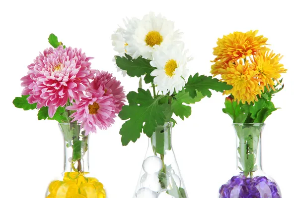 Mooie bloemen in vazen met hydrogel geïsoleerd op wit — Stockfoto