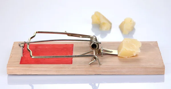 Mousetrap com queijo isolado em branco — Fotografia de Stock