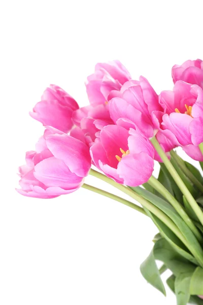 Beautiful pink tulips, isolated on white — Stock Photo, Image