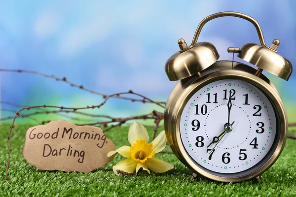 Alarm clock on green grass, on nature background — Stock Photo, Image