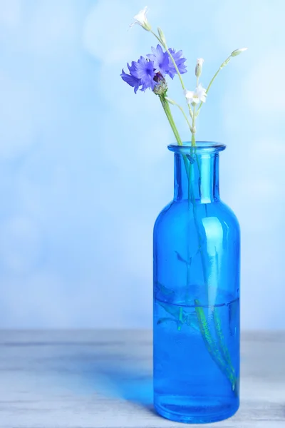Fiordaliso luminoso in bottiglia su tavolo di legno, su sfondo chiaro — Foto Stock