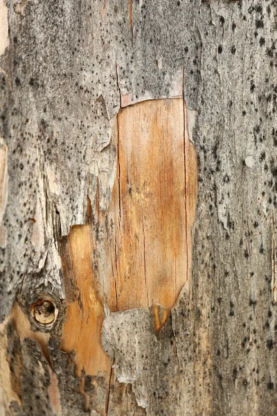 Vecchia struttura in legno — Foto Stock