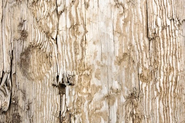 Tablón de madera textura marrón fondo — Foto de Stock