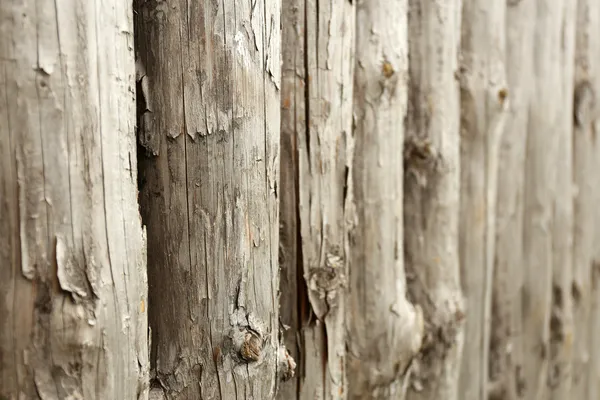 Oude houten achtergrond, close up — Stockfoto