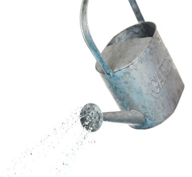 Water pouring from watering can isolated on white clipart