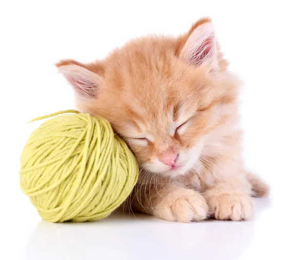Carino piccolo gattino rosso e palla di filo isolato su bianco — Foto Stock