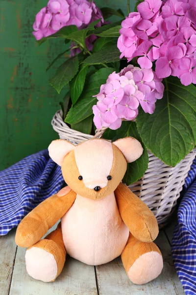 Hydrangea in basket with teddy bear close-up — Stock Photo, Image