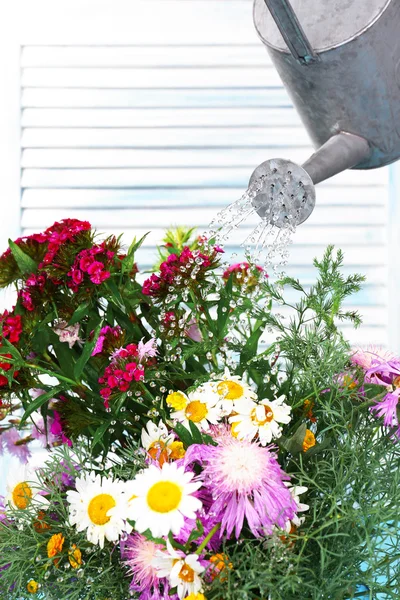 Vatten kan vattning blommor på trä bakgrund — Stockfoto