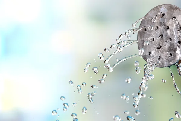 Wasser kann Blumen auf hellem Hintergrund gießen — Stockfoto