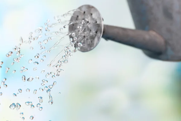 Water can watering flowers on bright background — Stock Photo, Image