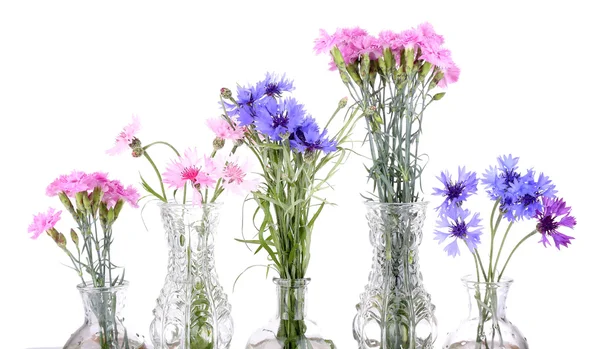 Belles fleurs d'été dans des vases, isolées sur blanc — Photo