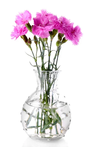 Beautiful summer flowers in vase, isolated on white — Stock Photo, Image