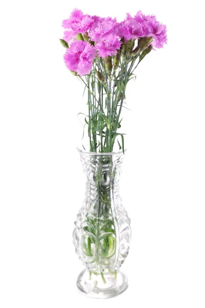 Beautiful summer flowers in vase, isolated on white — Stock Photo, Image