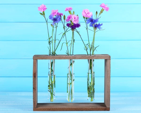Krásné letní květiny ve vázách na modré dřevěné pozadí — Stock fotografie