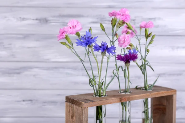 Красивые летние цветы в вазах на сером деревянном фоне — стоковое фото