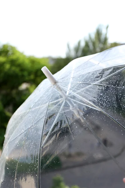 Wet transparent umbrella on natural background — Stock Photo, Image