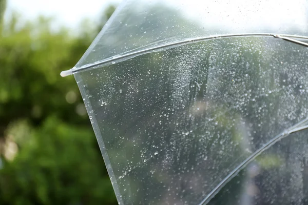Wet transparent umbrella on natural background — Stock Photo, Image