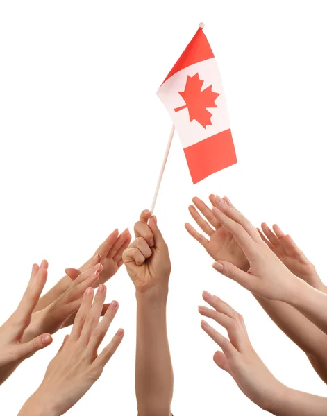 Kanadafahne und viele Hände, isoliert auf weiß — Stockfoto