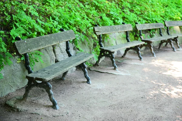 Деревянные скамейки в парке — стоковое фото