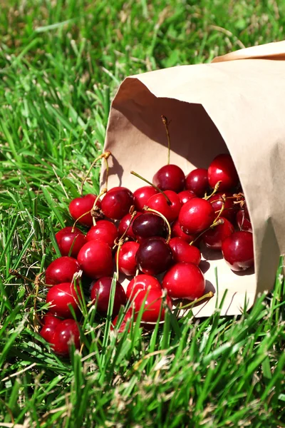 Süße reife Kirschen in Papiertüte, auf grünem Grashintergrund — Stockfoto