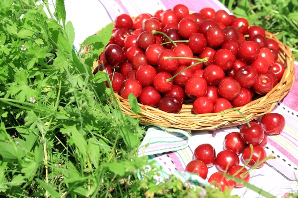 Sweet cherries on wicker stand with napkin on grass background — Stock Photo, Image