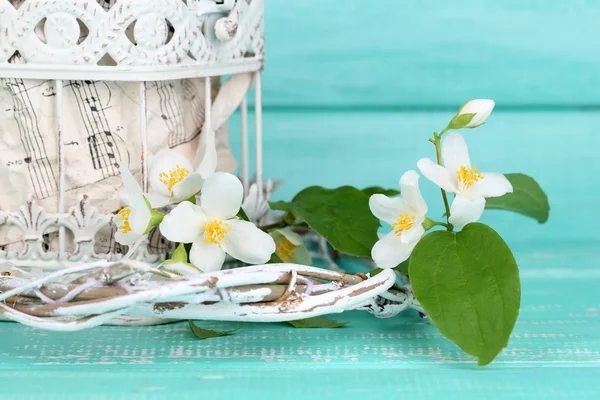 Yasemin çiçekleri ile güzel bahar kompozisyon — Stok fotoğraf