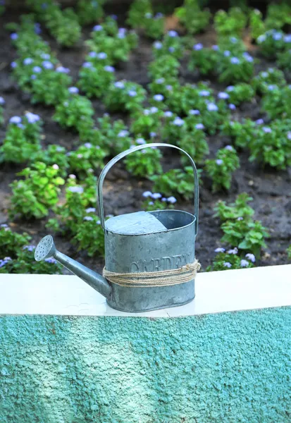 Watering can on green bushes background — Stock Photo, Image