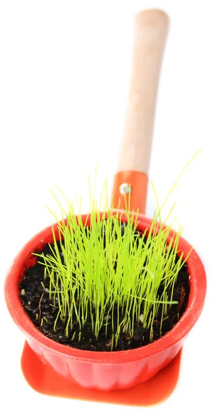 Young plant in pot on garden shovel isolated on  white — Stock Photo, Image