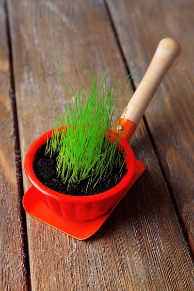 Young plant in pot on garden shovel on wooden background — Stock Photo, Image