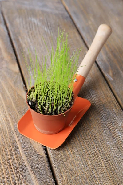 Jovem planta em vaso na pá de jardim no fundo de madeira — Fotografia de Stock