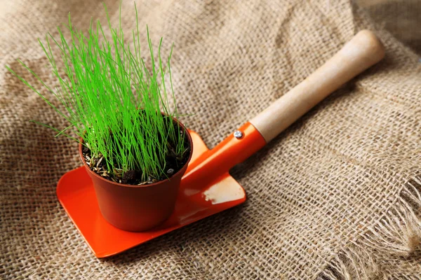 Young plant in pot on garden shovel on sackcloth background — Stock Photo, Image