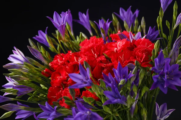 Piękne kwiaty dzikiego, z bliska — Zdjęcie stockowe