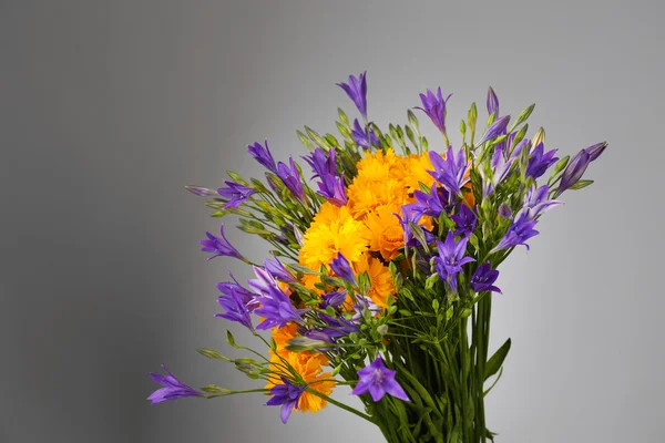 Piękne kwiaty dzikiego, na szarym tle — Zdjęcie stockowe