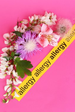 pembe bir arka plan üzerinde alerjenik bitkiler